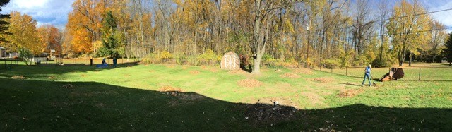volunteer-day-2-11-10-16